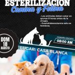 CAMPAÑA DE ESTERILIZACIÓN CANINA Y FELINA.