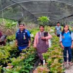 ENTREGA DE PLANTAS DE PALTA A BENEFICIARIOS DE PROYECTO EN EL MUNICIPIO DE IRUPANA.